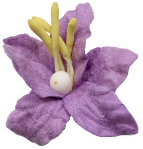 5 Crazy Ladies Flower Packs - Lillies Small 10 pk