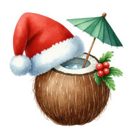 5 Crazy Ladies Stickers - Tropical Christmas
