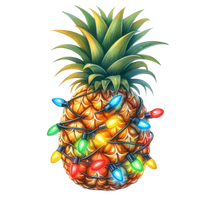 5 Crazy Ladies Stickers - Tropical Christmas