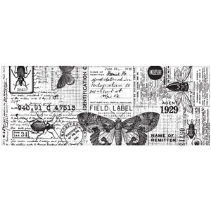 Tim Holtz Collage Paper - Entomology