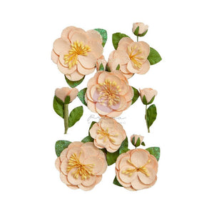 Prima Flower Pack - Peach Tea: Peach Tea