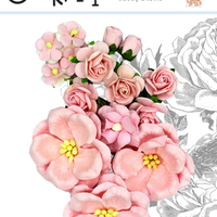 5 Crazy Ladies Flower Packs - Regency