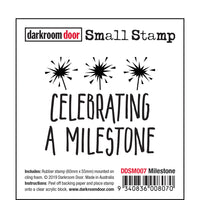 Darkroom Door Stamp Small - Milestone