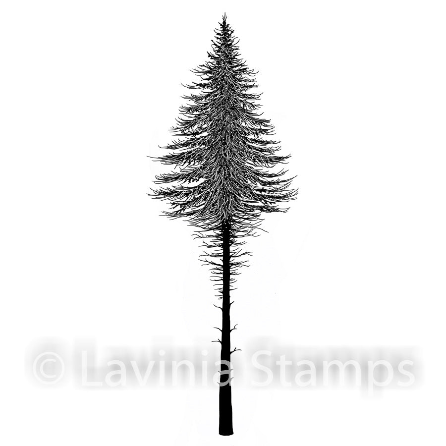 Lavinia Stamp - Fairy Fir Tree 2 Small