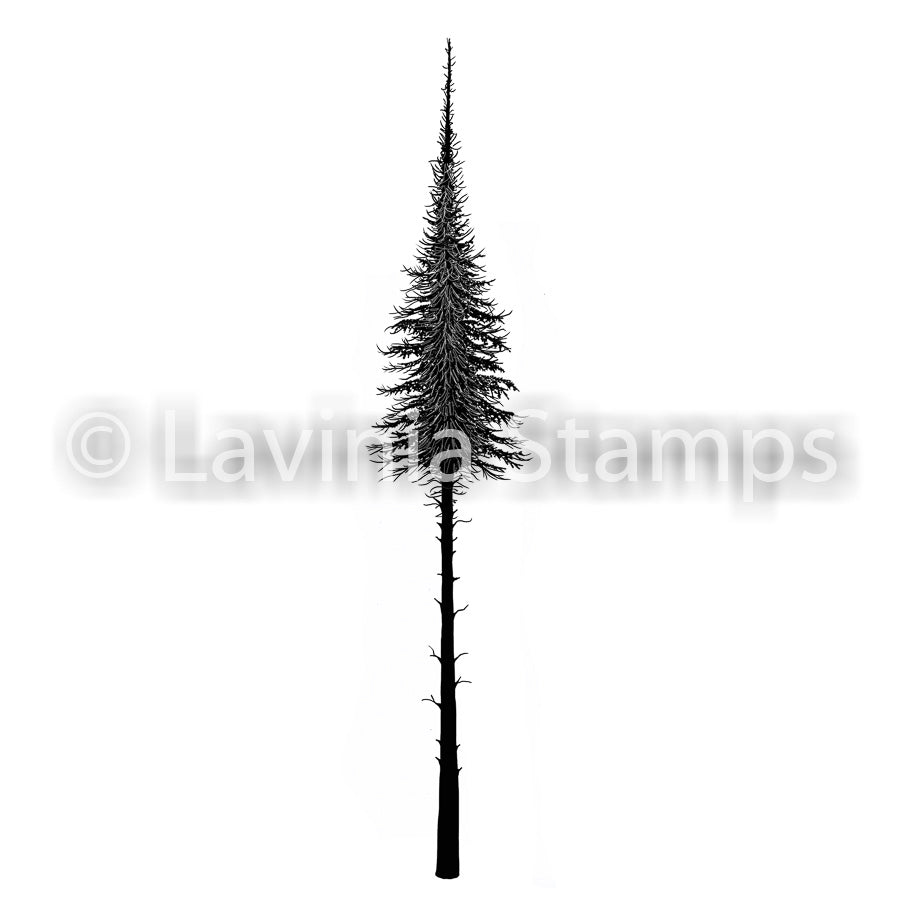 Lavinia Stamp - Fairy Fir Tree