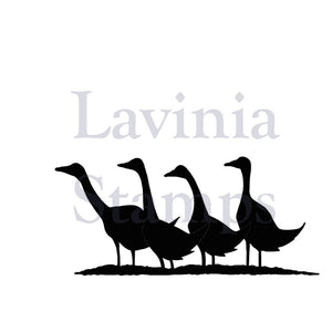 Lavinia Stamp - Gaggle of Geese