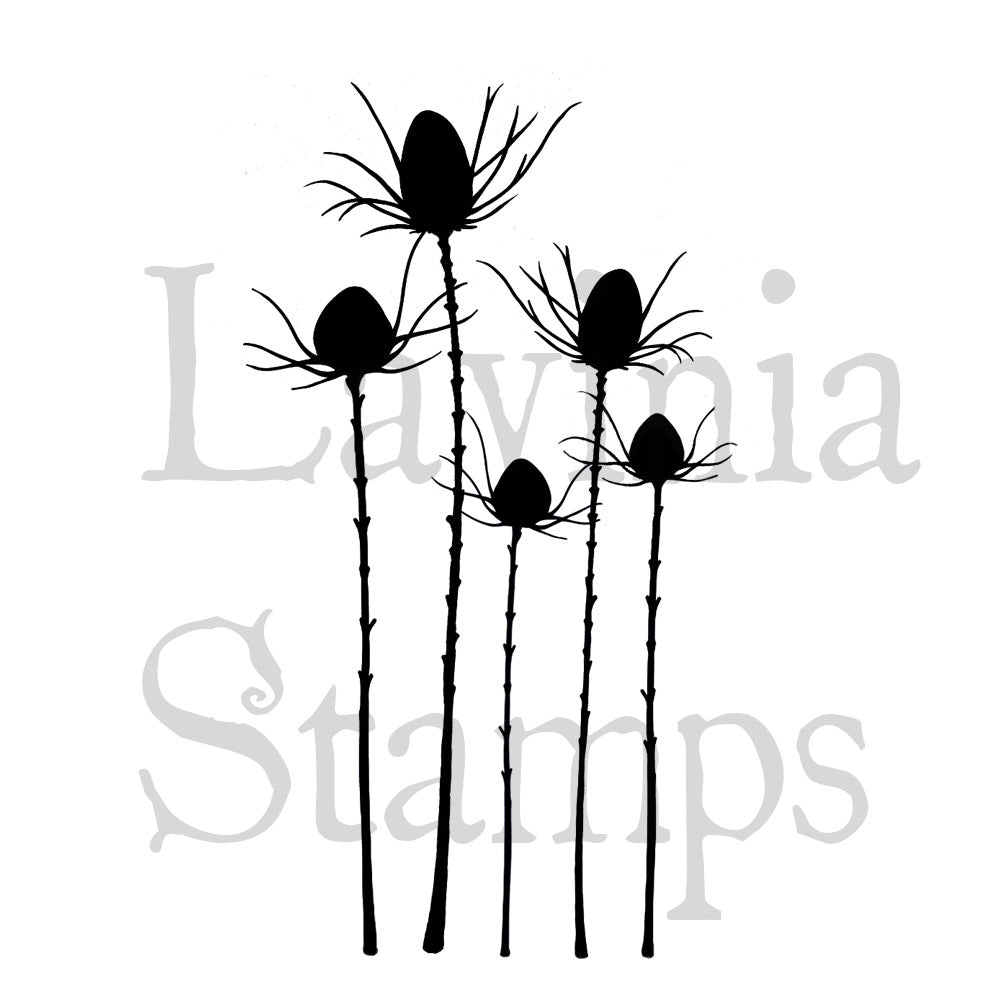 Lavinia Stamp - Silhouette Thistle