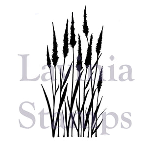 Lavinia Stamp - Meadow Grass