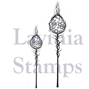 Lavinia Stamp Set - Moon Pods