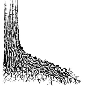 Lavinia Stamp - Tree Root